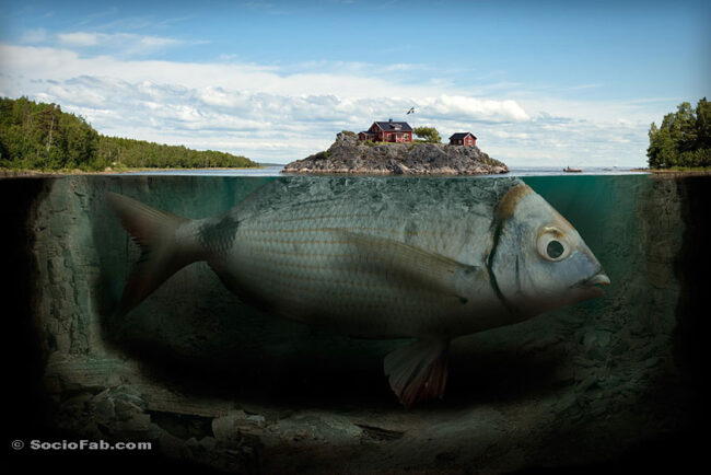 A fish and a house; simplified!