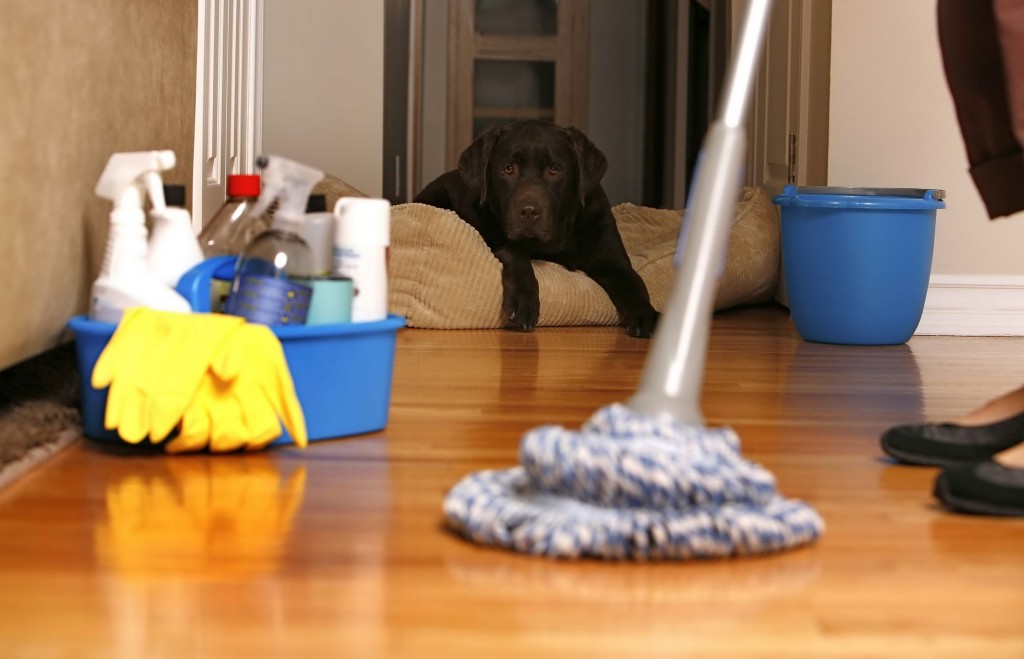 cleaning
