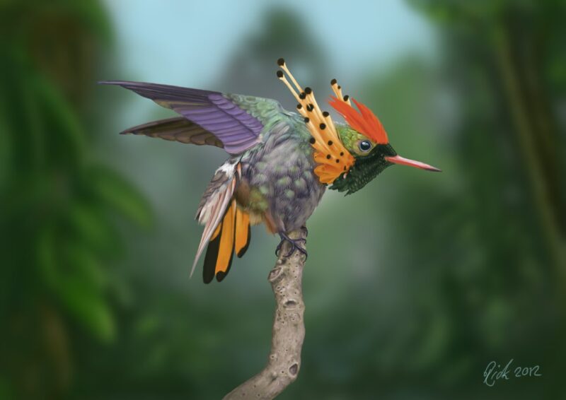 The hummingbird humming its way to the top!