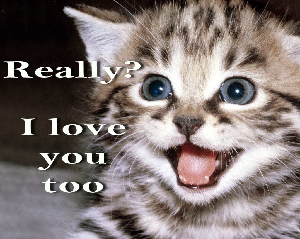 Aww