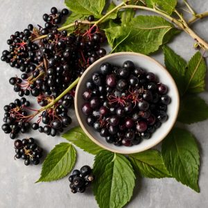 Elderberry Extract Recipes