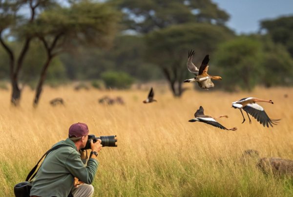 Capture Jaw-Dropping Action Top Wildlife Cameras for High-Octane Wildlife Photos