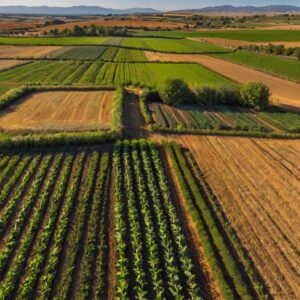 The Power of Regenerative Agriculture in Unlocking a Healthier Planet for Future Generations 